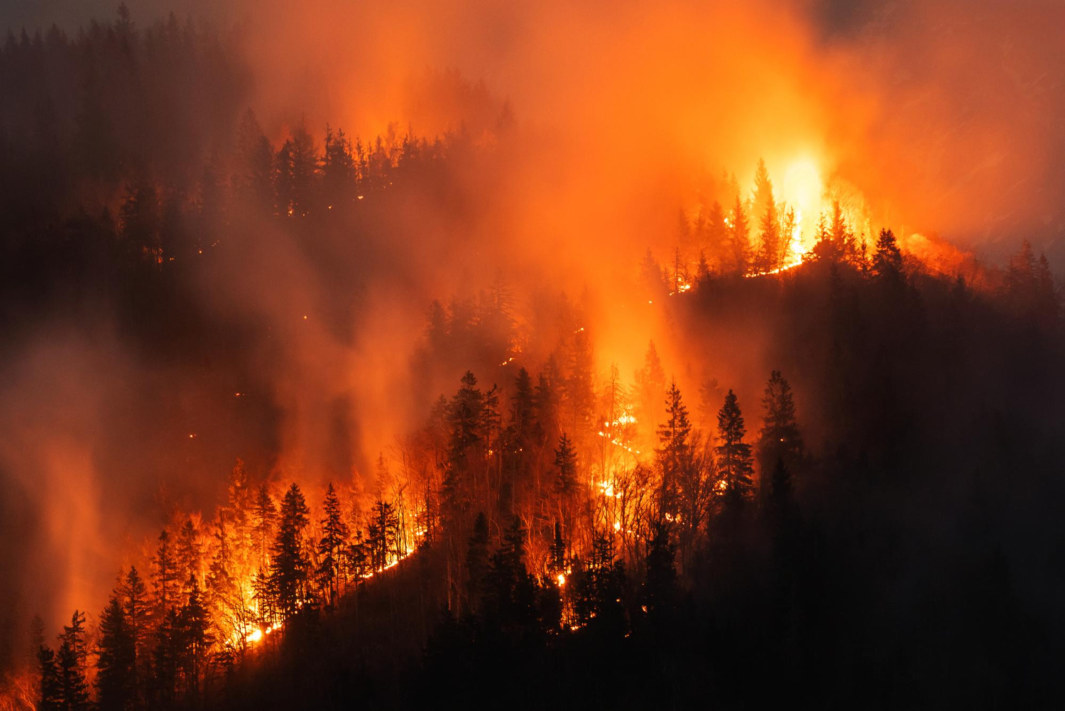 Wildfire Season: The Science of a Year-Round Fire