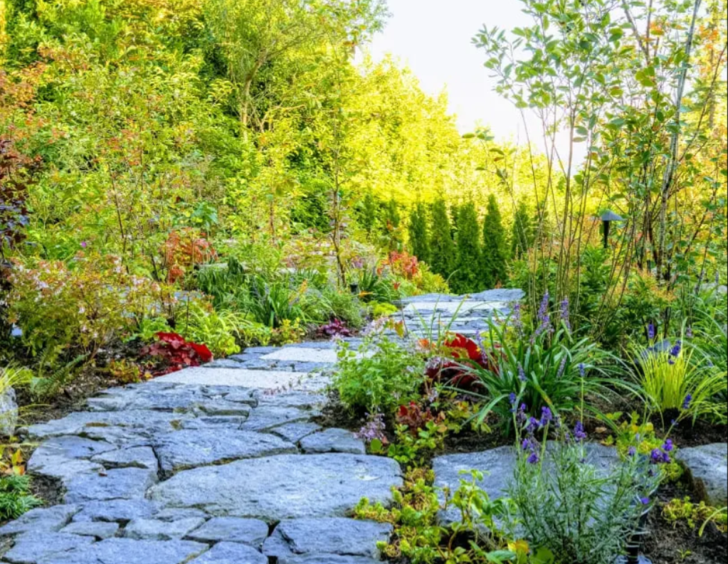 Why Landscape Design in Vancouver Is Becoming More Climate-Aware